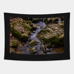 Mountain stream Tapestry