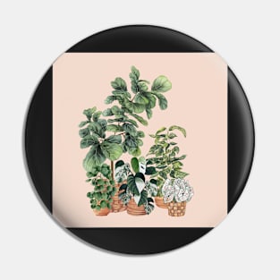 House Plants Illustration 6 On Pink Pin