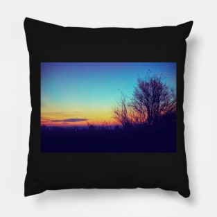 Country Night Life Pillow