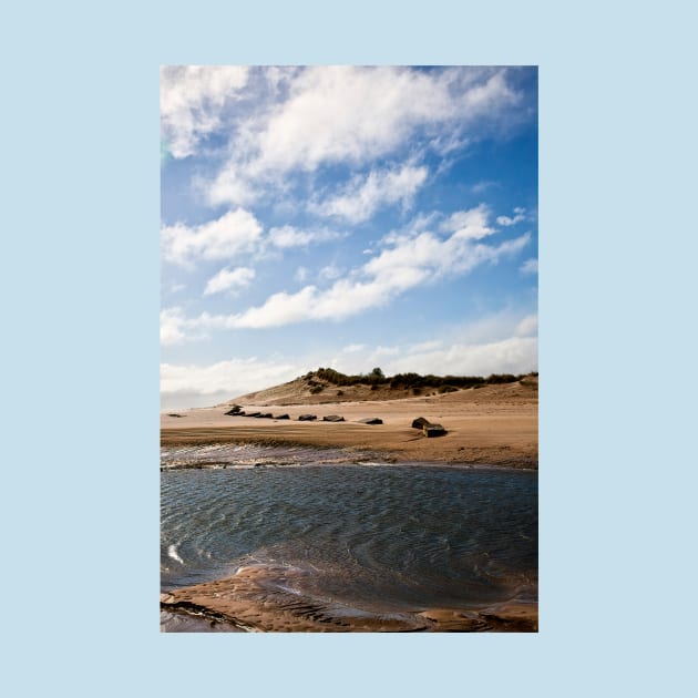 The Sand Dunes at Alnmouth by Violaman