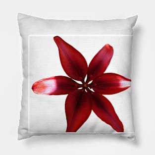 Red Tiger Lilly Flower Pillow