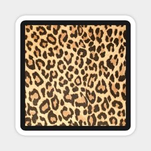 Leopard leather pattern texture closeup Magnet