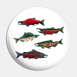 Pacific Salmon in Gouache Pin