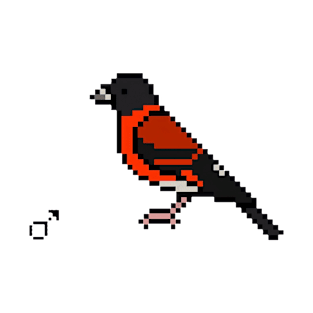 pixel bird T-Shirt