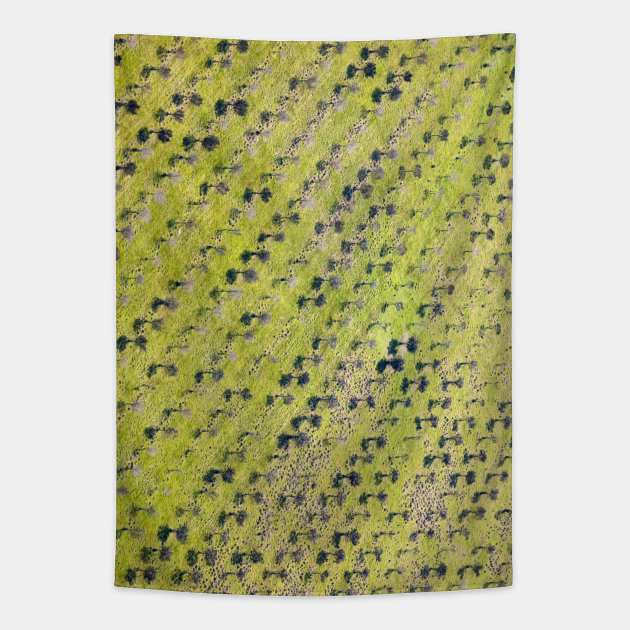 Aerial view of red wine vineyard Tapestry by textural