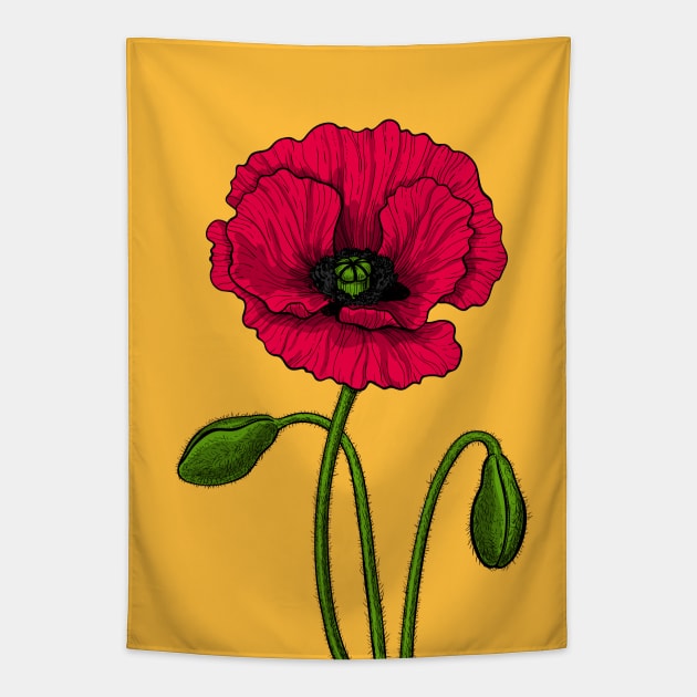 Red poppy drawing Tapestry by katerinamk