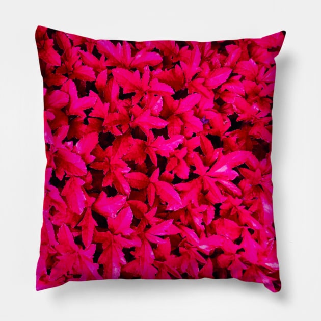 Deep Red Pink Leaf Pattern Pillow by Dippity Dow Five