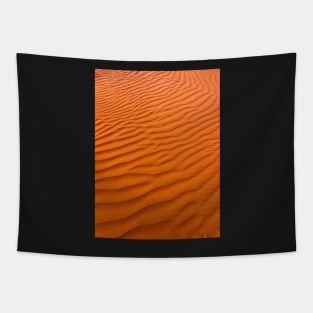 Windswept Red Sand Tapestry