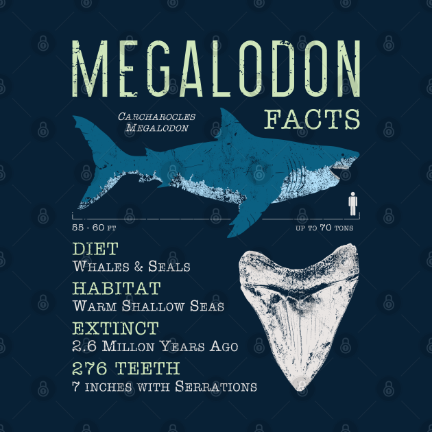 Megalodon Facts - Megalodon - Mug | TeePublic