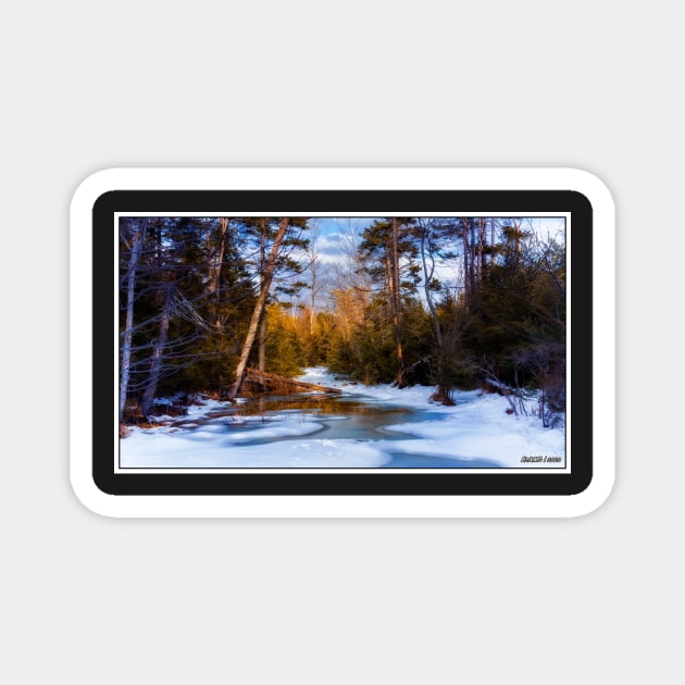 Winter Wonderland Magnet by kenmo