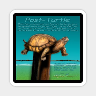 Story of the Post Turtle Magnet