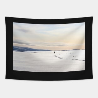 Isolation Tapestry