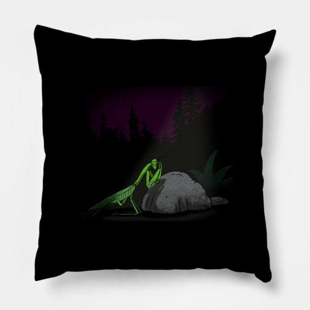 Praying Mantis Cute Funny Jesus Christ Religious Scene Funny Parody Pillow by BoggsNicolas