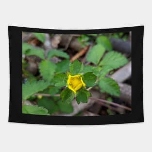 Wild Strawberry Bloom 2 Tapestry