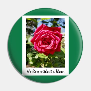 No Rose without a Thorn Pin