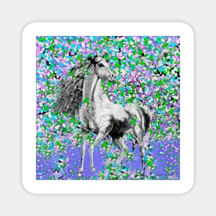 Horse:  So Pretty Oil Painting Magnet