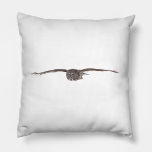 Great Grey Owl Pillow