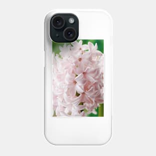 Hyacinthus orientalis  &#39;China Pink&#39;  Hyacinth Phone Case