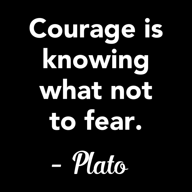 Courage is knowing what not to fear - Plato Quote by vladocar