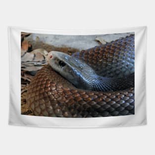 Coastal Taipan Tapestry