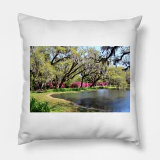 Beauty By The Pond Pillow