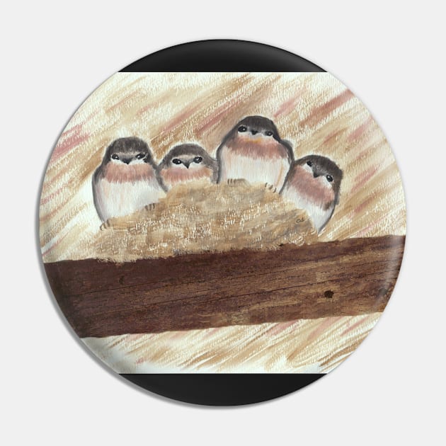 Barn Swallow Chicks Pin by ConniSchaf