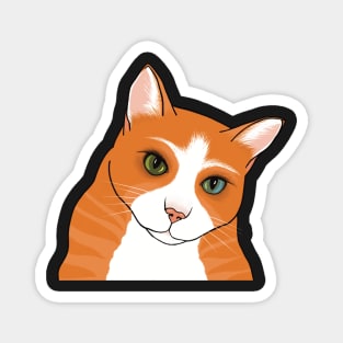 The Cute Ginger cat watching you seems a bit worried Magnet