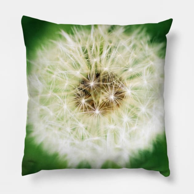 Dandelion Sparkle Pillow by RFMDesigns