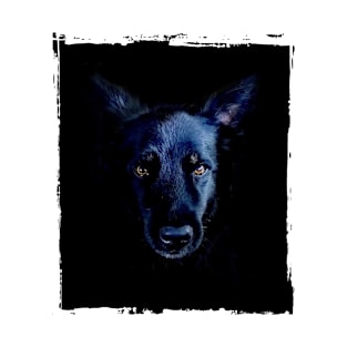 Black Dog T-Shirt