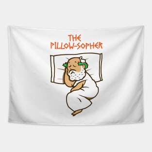 The Pillow-sopher Tapestry