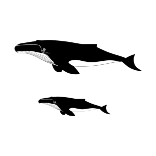 Whales T-Shirt