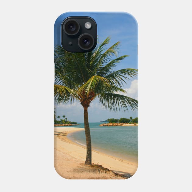 Palm Beach Paradise Phone Case by jwwallace