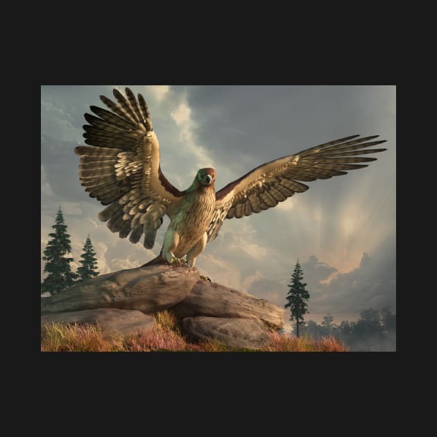 Hawk on the Rocks by DanielEskridge