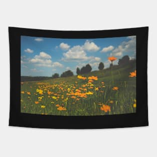 Summer Field of Wildflowers Tapestry