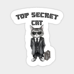 Top Secret Cat Magnet