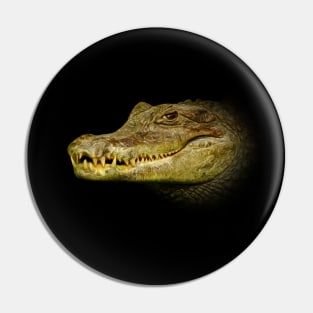 Crocodile Pin