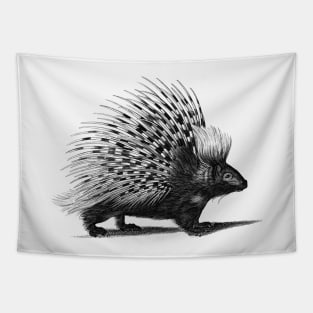 Vintage Porcupine Sketch Tapestry