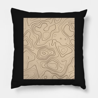 Warm Tones Abstract Topography  Aeasthetic  Pattern Pillow