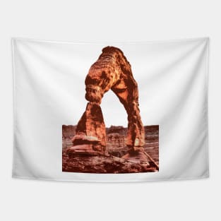 Moab Arches National Park Utah Tapestry