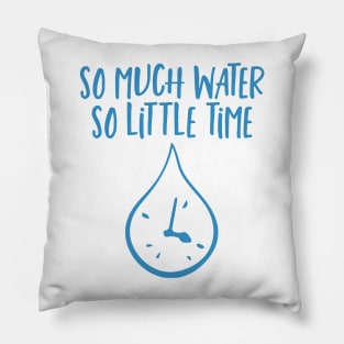 So Much Water So Little Time Swimmer Swimming Pillow