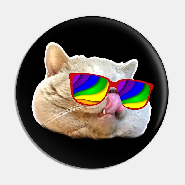 Crazy Sunglasses Cat Pin by SolarFlare