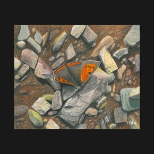 Small Copper T-Shirt