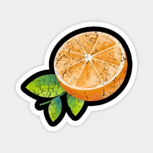 Orange Citrus Magnet