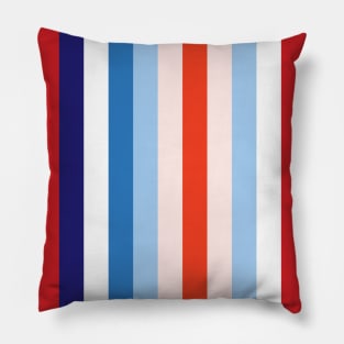 8 Color Combination Pillow
