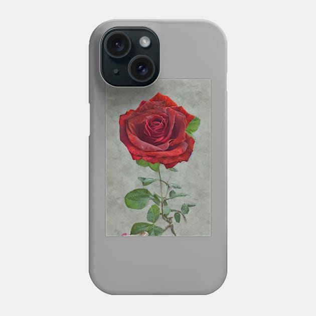 A beautiful single red rose, gift mugs, apparel, hoodies, t-shirts, shirts Phone Case by Goodies Galore