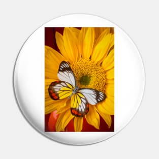 Sunflower Bold Beautiful Butterfly Pin