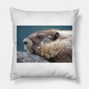 Marmot in Mount Rainier National Park Pillow