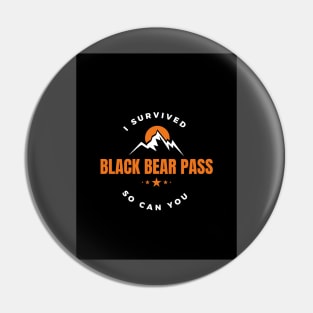 I survived Black Bear Pass Pin