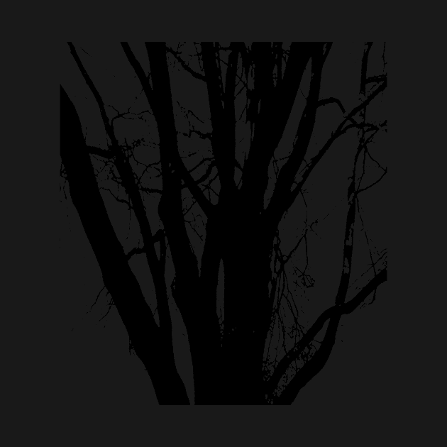 Tree, in black and white line drawing. by robelf