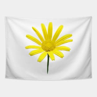 Wild Yellow Flower Tapestry